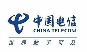 中國電信新一輪機構改革 地級市公司邁向銷售服務新定位